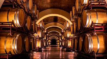 Wine cellar at a vineyard in Spain 