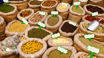 Gastronomy and Culture 10-Day Israel Tour