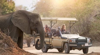 Safari at Mana Pools National Park in Zimbabwe
