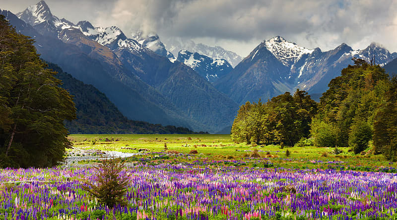 Beautiful landscape of the South Island, New Zealand Beautiful landscape of the South Island, New Zealand