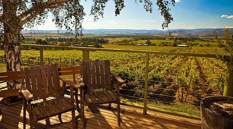 Vineyard view, a private farm in one of New Zealand's wine regions Vineyard view, a private farm in one of New Zealand's wine regions