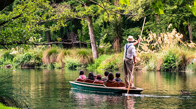Explore the wildlife on a boat trip outside Christchurch in New Zealand Explore the wildlife on a boat trip outside Christchurch in New Zealand