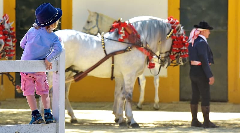 Jerez de la Frontera, Spain Young boy watching horses being walked in Jerez de la Frontera, Spain