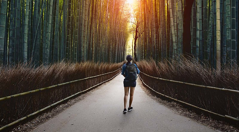 Arashiyama bamboo forest in Kyoto, Japan Woman walling into Arashiyama bamboo forest in Kyoto, Japan