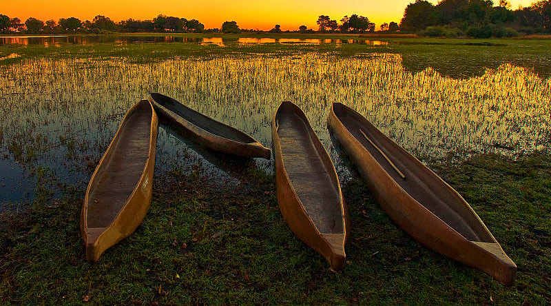 The Okavango Delta at sunset The Okavango Delta at sunset