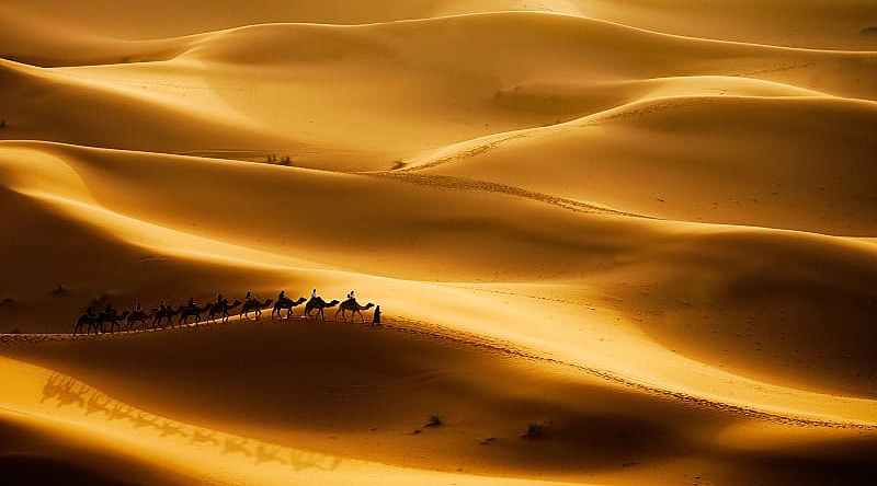 Sahara desert at sunset in Morocco