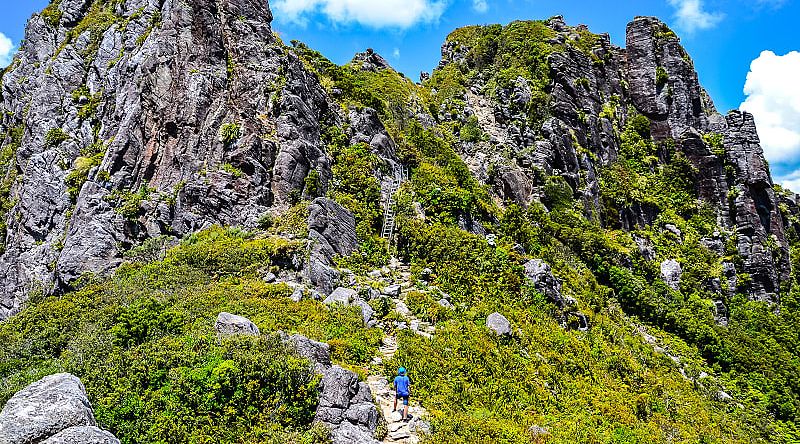 Hike in The Pinnacles in Coromandel, New Zealand Hike in The Pinnacles in Coromandel, New Zealand