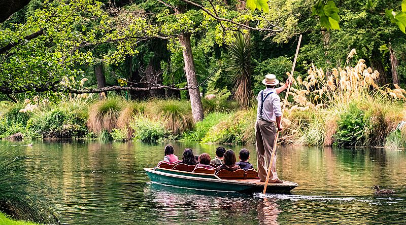 Explore the wildlife on a boat trip outside Christchurch in New Zealand