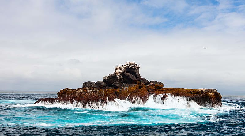 Isabela Island in the Galapagos, Ecuador Isabela Island in the Galapagos, Ecuador