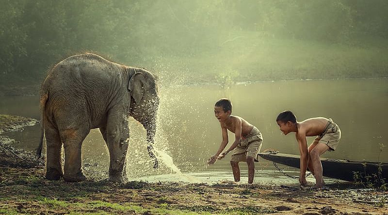 Local kids playing with baby elephant in Laos.