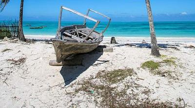 Palm trees and boat in Zanzibar beach