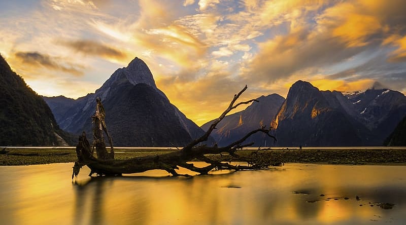 Milford Sound at sunset in New Zealand Milford Sound at sunset in New Zealand