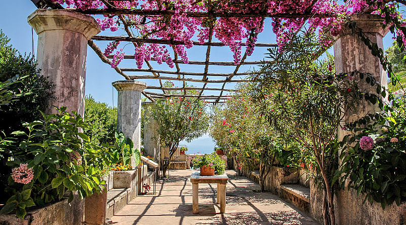 Flowers in bloom at Villa Rufolo in Ravello on the Amalfi Coast, Italy Flowers in bloom at Villa Rufolo in Ravello on the Amalfi Coast, Italy