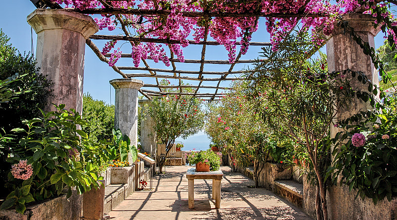 Flowers in bloom at Villa Rufolo in Ravello on the Amalfi Coast, Italy Flowers in bloom at Villa Rufolo in Ravello on the Amalfi Coast, Italy