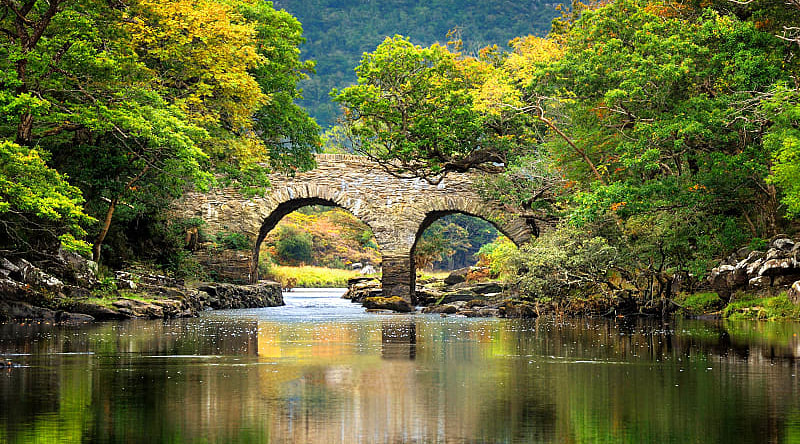 Old Weir Bridge near Muckross House and Gardens in Killarney National Park Old Weir Bridge near Muckross House and Gardens in Killarney National Park