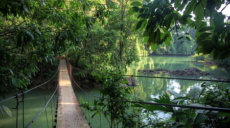 Travel through the trees with the whole family on the Arenal's suspension bridges