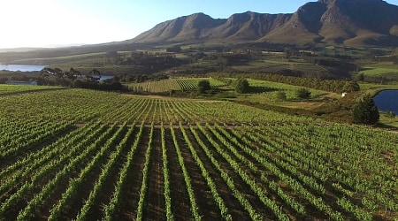 Cape to Kruger: Classic Winelands, Cape Town & Sabi Sands Safari