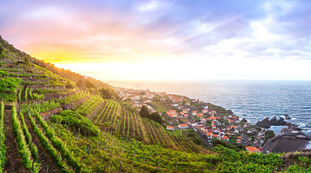 Madeira, view of the coast and vineyards in Portugal