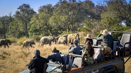 Game drive in Lion Sands Game Reserve, South Africa