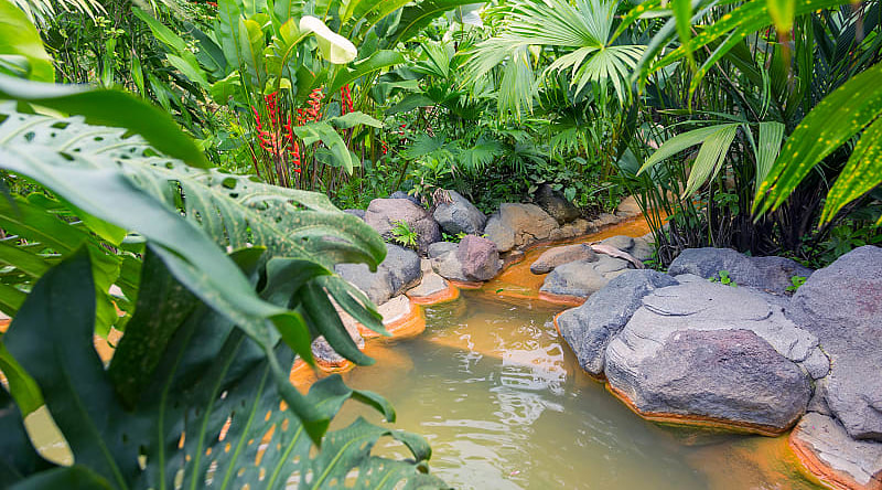 Relax in the natural hot springs of Arenal while inhaling the misty air of the region, Costa Rica