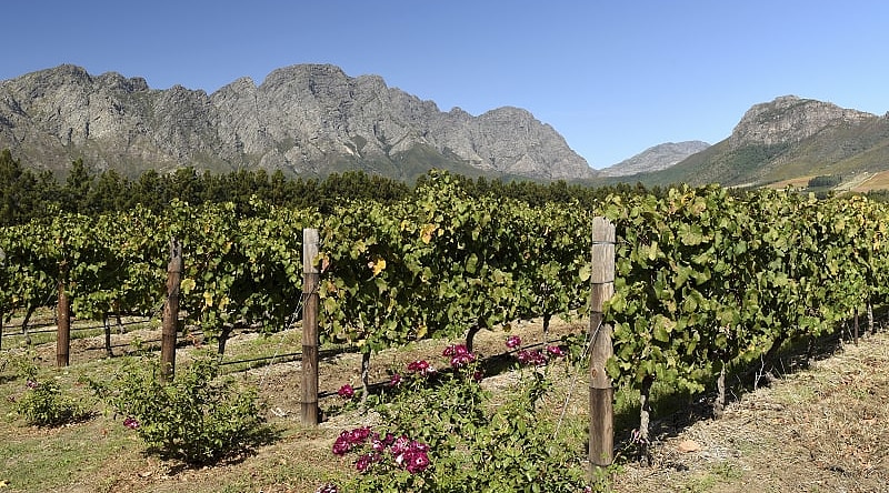 Franschhoek winelands in Western Cape, South Africa