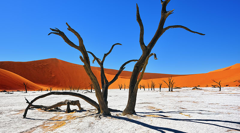 Deadvlei in Namib-Naukluft National Park of Namibia