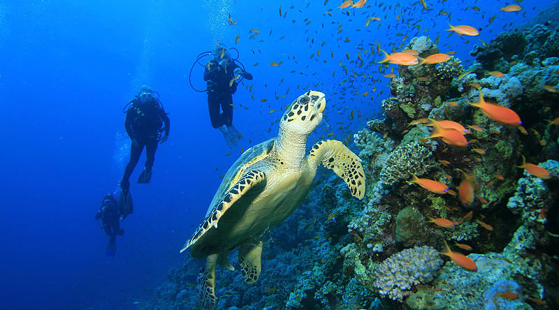 Scuba diving in Dahab, Egypt