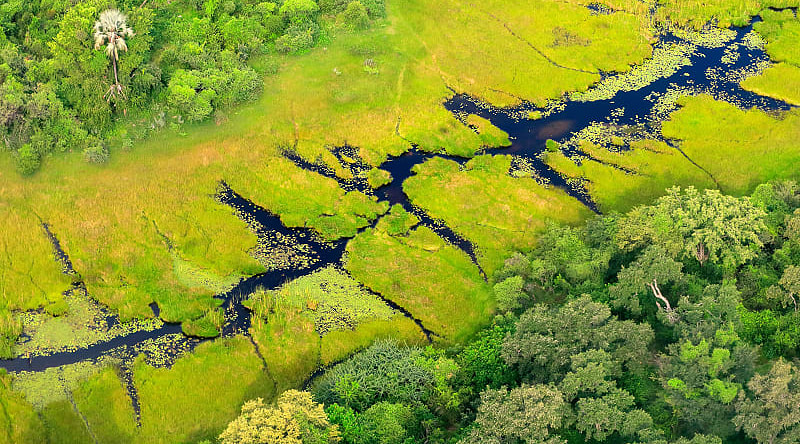 Aerial view of the Okavango Delta in Botswana