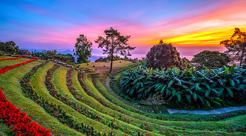 Colorful sunrise at Huai Nam Dang National Park with rows of flowers and mountains in the background, Thailand