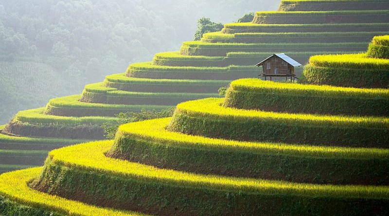 Sapa valley at sunset in Vietnam