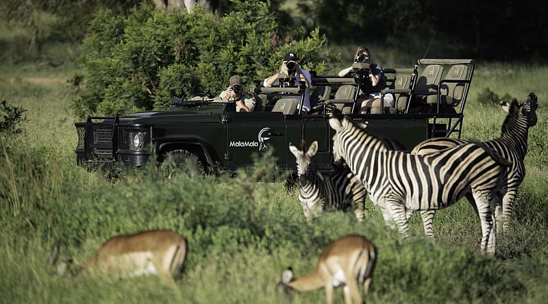 MalaMala photography safari. Photo courtesy of MalaMala Camp