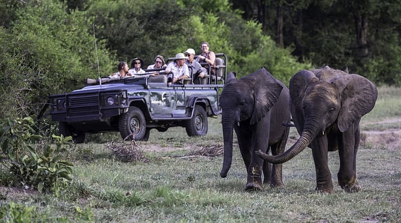Game drive in MalaMala Game Reserve.  Photo courtesy of MalaMala Game Reserve