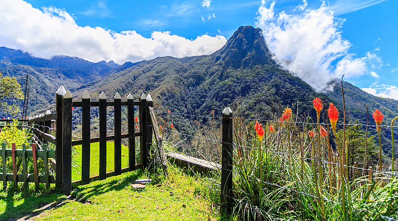 Cocora Valley in Colombia