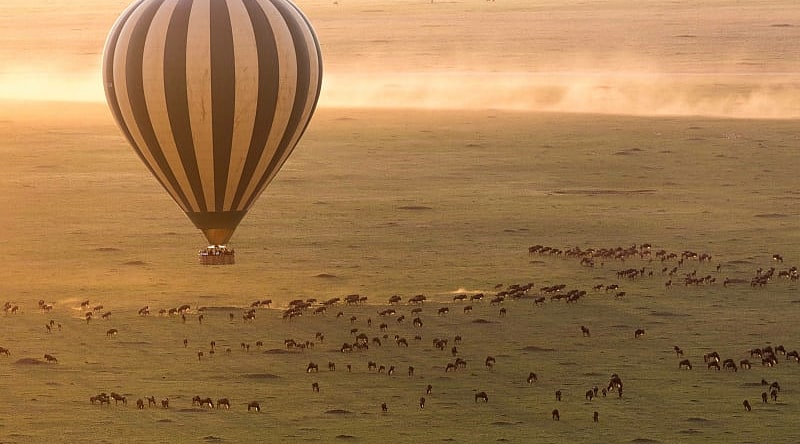 Admire the herd's stunning patchwork quilt from above on a hot air balloon safari at sunrise.