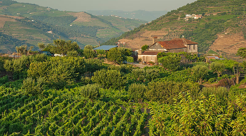 Immerse yourself in the atmosphere of the old vineyards of the Douro Valley, which have changed little since the 18th century.