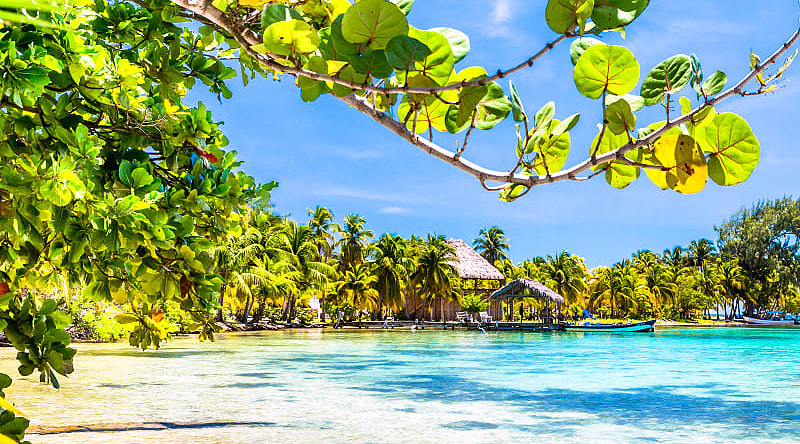 Tropical beach in Caye Caulker in Belize