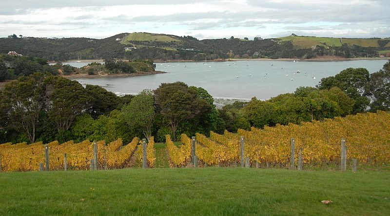 Lounge on the lush island of Waiheke as incredible art and cuisine complement the quiet beaches
