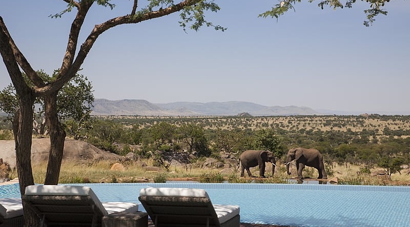 View of elephants from the pool at the Four Seasons Serengeti