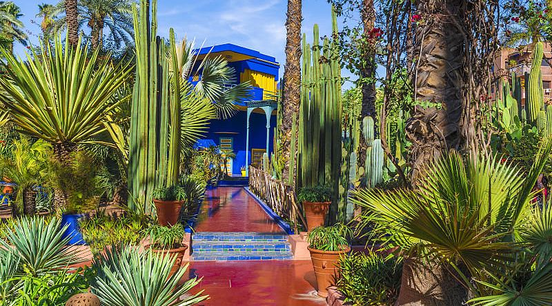 Le Jardin Majorelle, amazing tropical garden in Marrakech, Morocco.