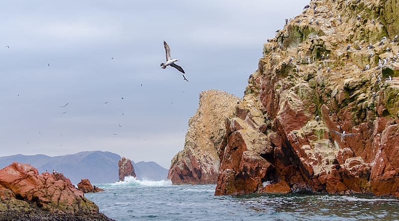 Paracas National Park in Peru.