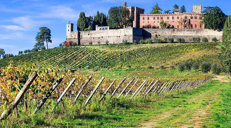 Vineyard and winery in the Chianti region of Tuscany, Italy