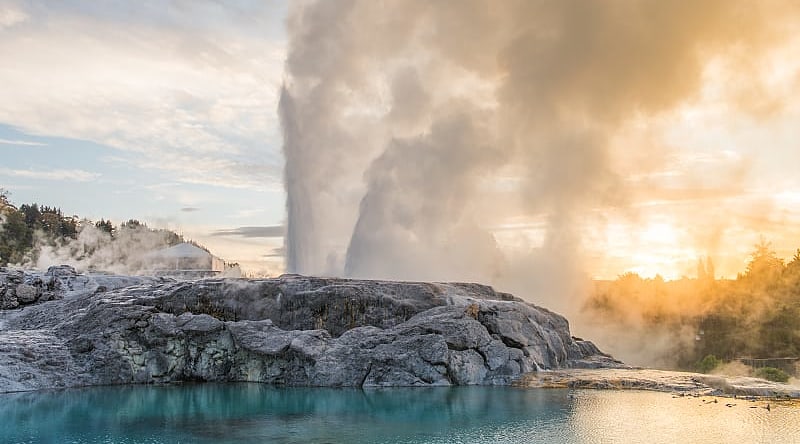 Geothermal Geyser at Te Puia in Rotorua, New Zealand