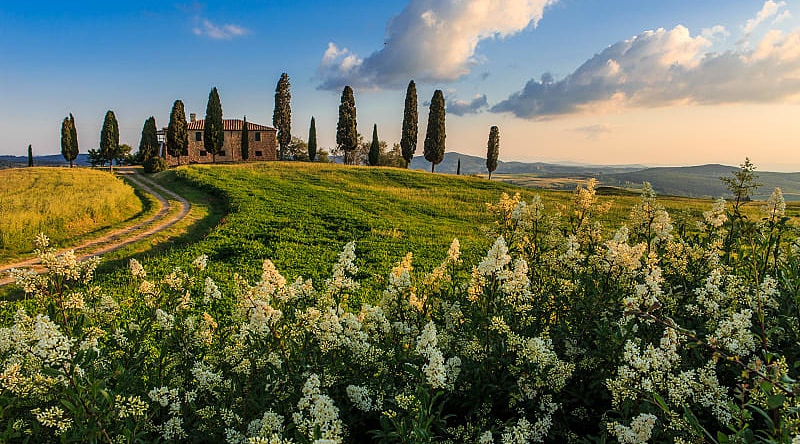 House surrounded by green fields and cypress trees in Tuscany, Italy