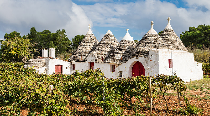 Vineyard with trulli houses in Alberobello, Puglia Region, Italy