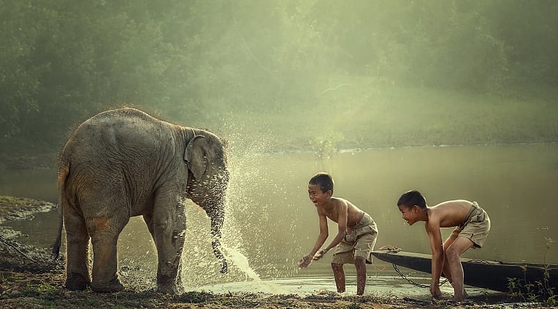Local kids playing with baby elephant in Laos.