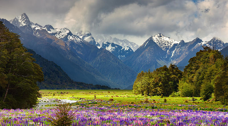 Beautiful landscape of the South Island, New Zealand