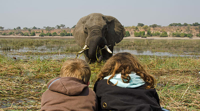 Two kids observing an elephant in Chobe National Park, Botswana