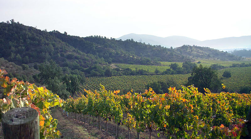 Casablanca vineyard and valley, Chile