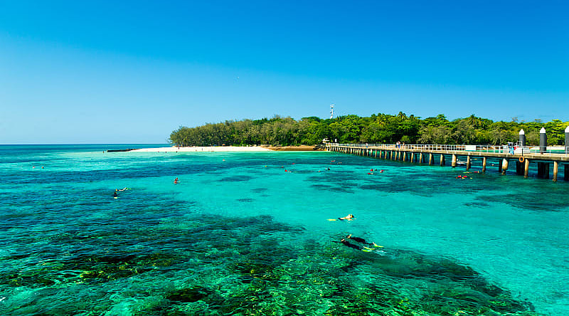 Snorkels exploring the reef around Green Island, Australia