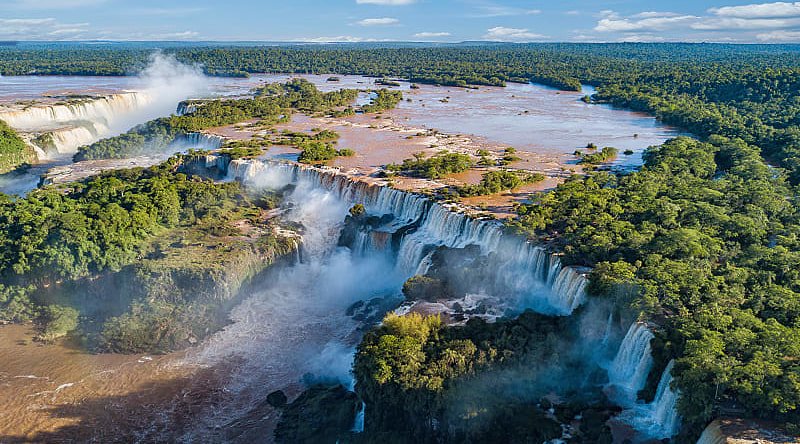 Iguazu Forest and Waterfalls